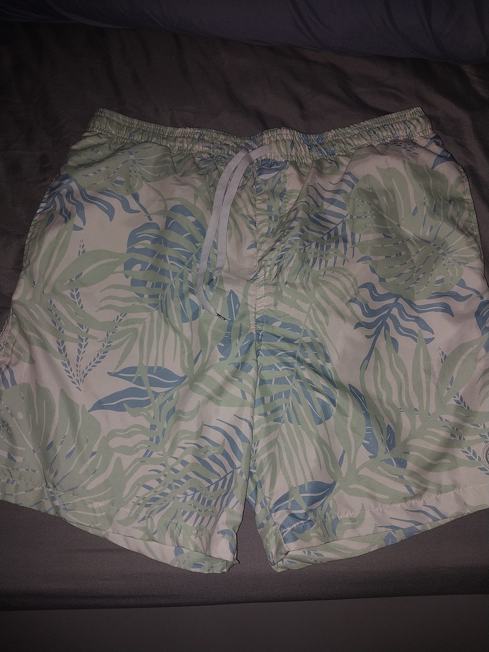 Brooklyn Cloth Men's Leaf-Print Swim Trunks - Light Green & Blue